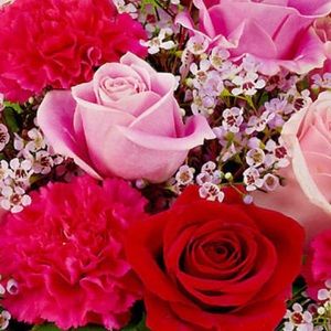 Meet your Posher, Pamela